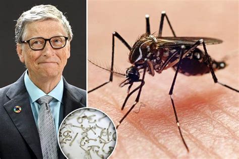 when did bill gates release mosquitoes